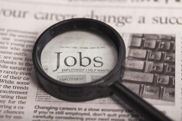 Job Hunting for Senior Professionals